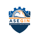 Asegin logo